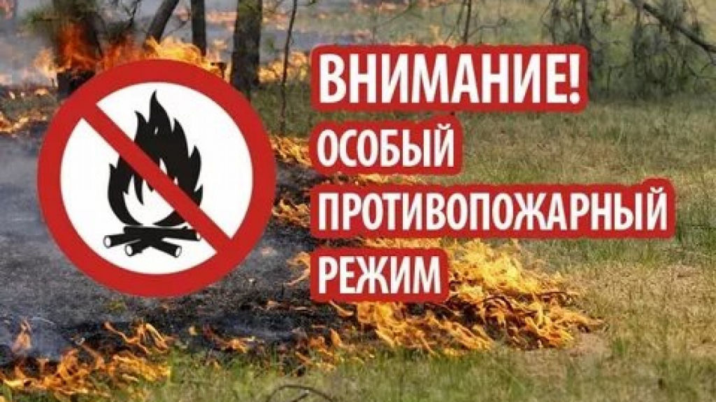 Правила поведения в пожароопасный период