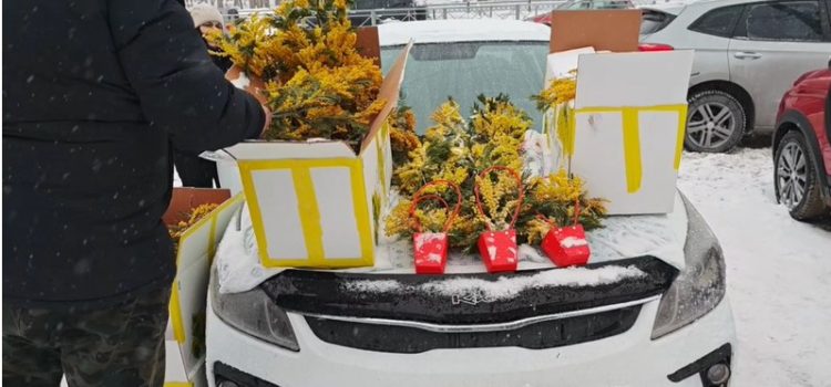 Снимок экрана 2026-03-10 115016