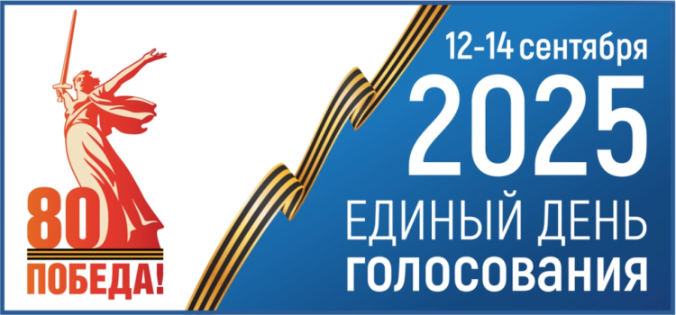 выборы
